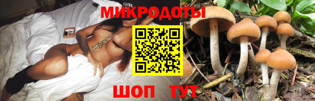Псилоцибиновые грибы Cubensis Елабуга